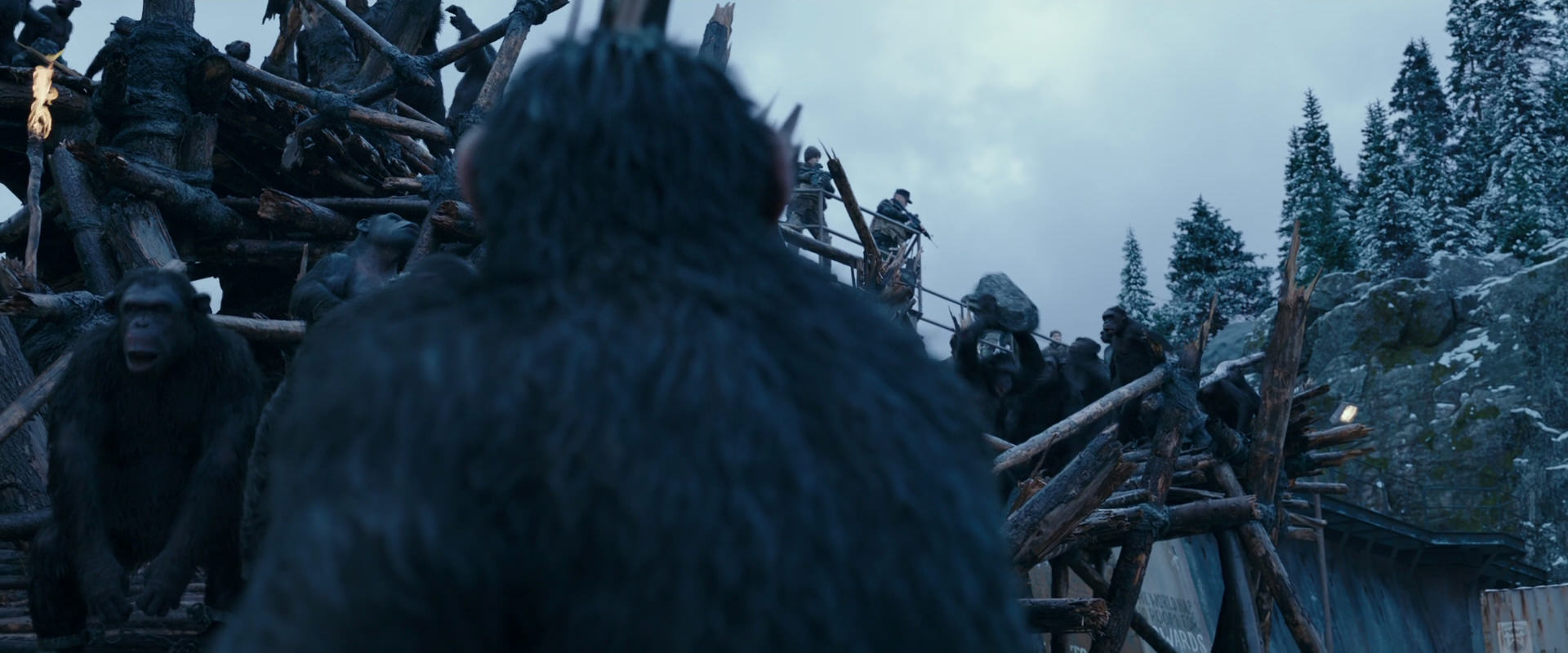 War for the Planet of the Apes (2017) screencap 8334