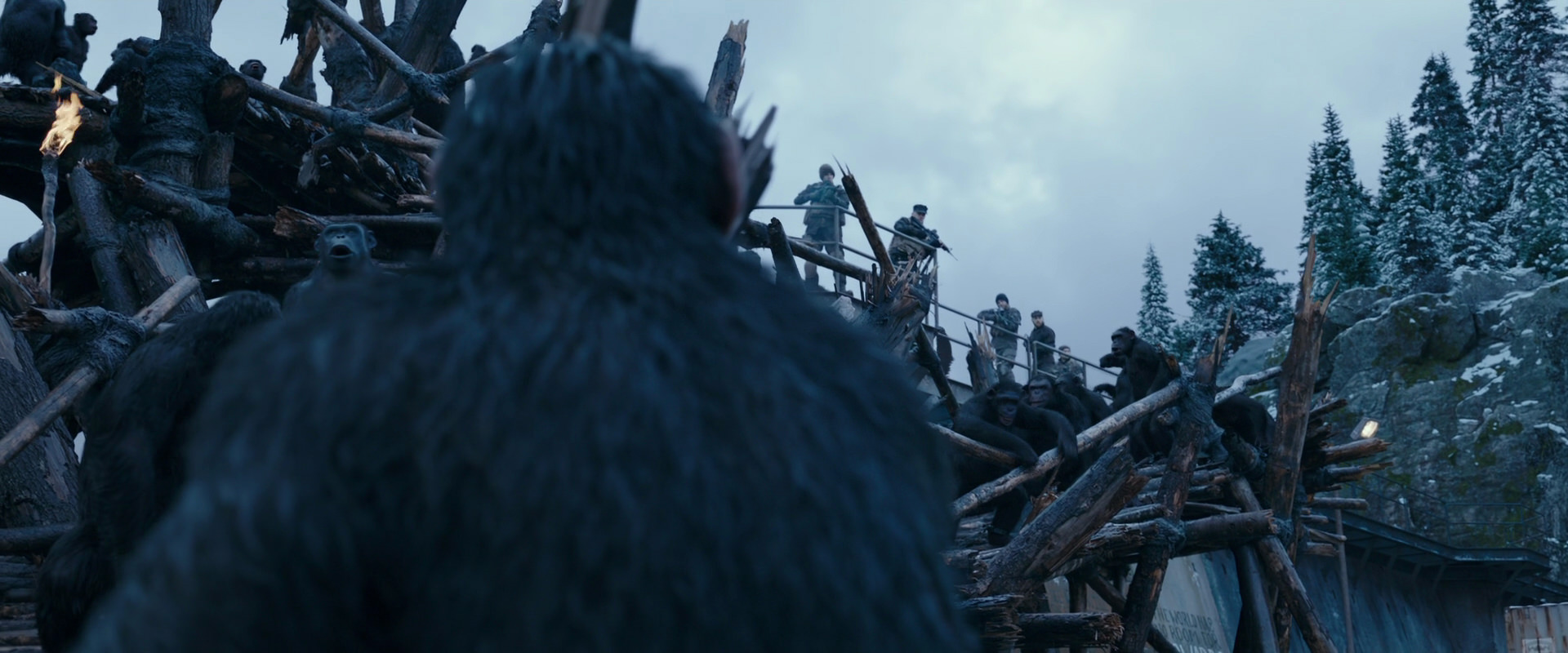 War for the Planet of the Apes (2017) movie still 8335