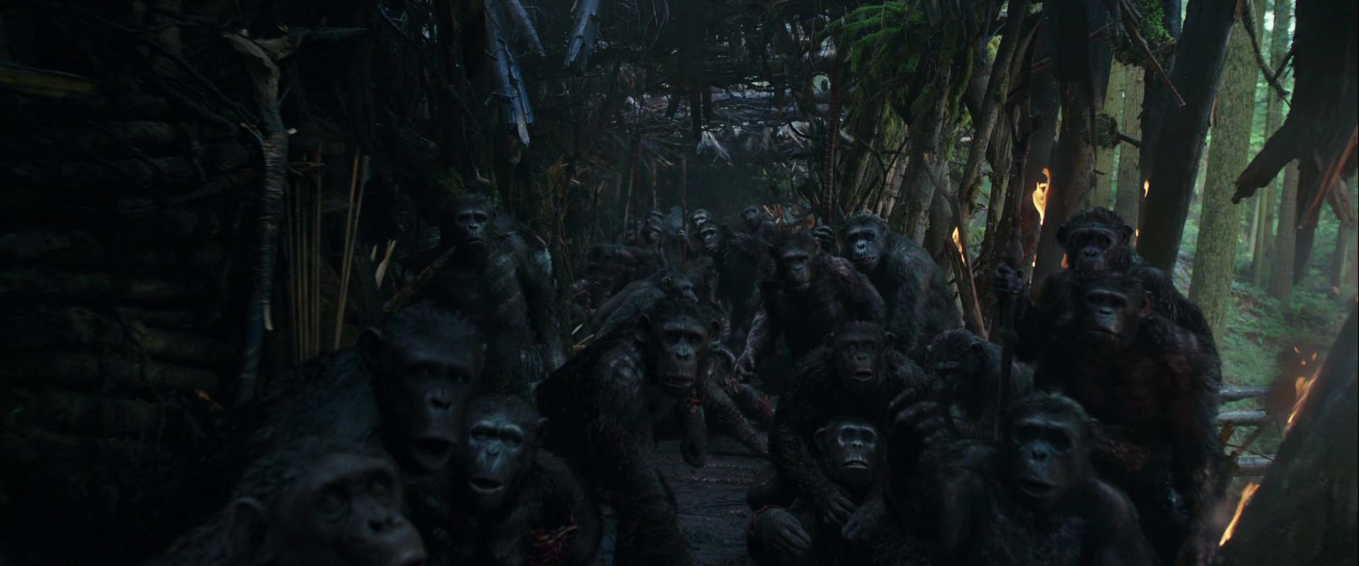 War for the Planet of the Apes (2017) screencap 834