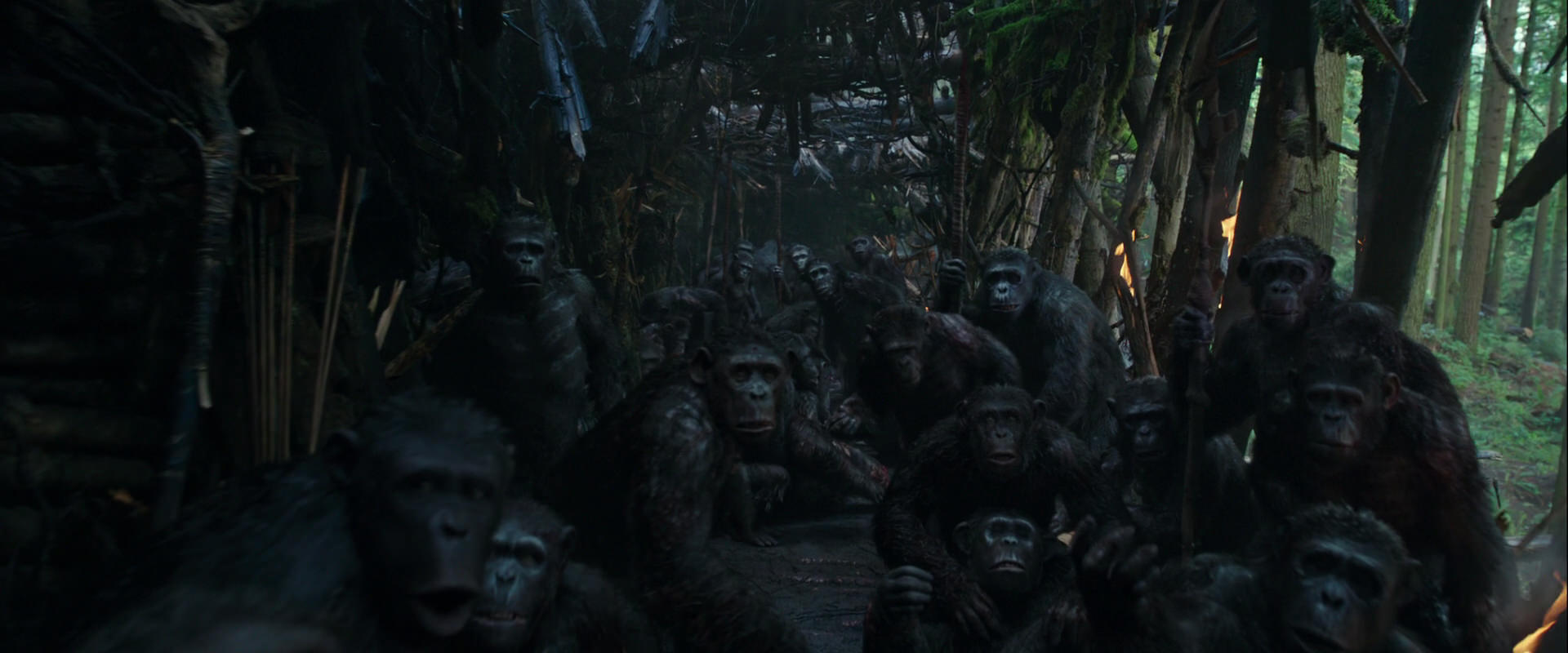 War for the Planet of the Apes (2017) movie still 835
