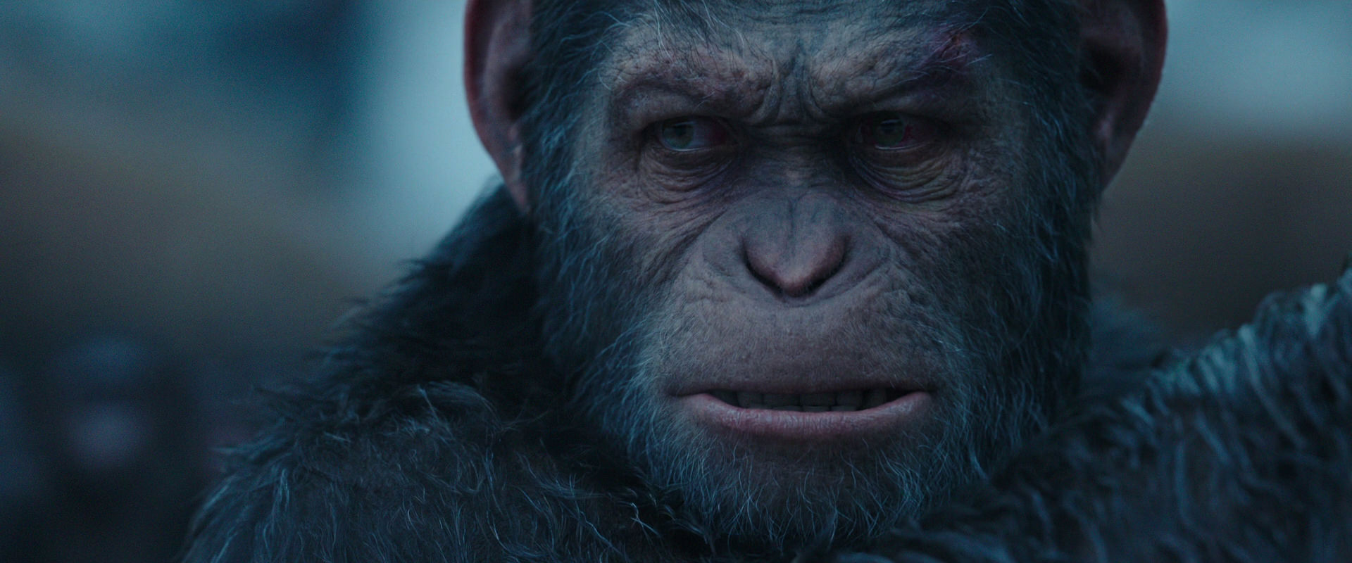 War for the Planet of the Apes (2017) movie still 8353