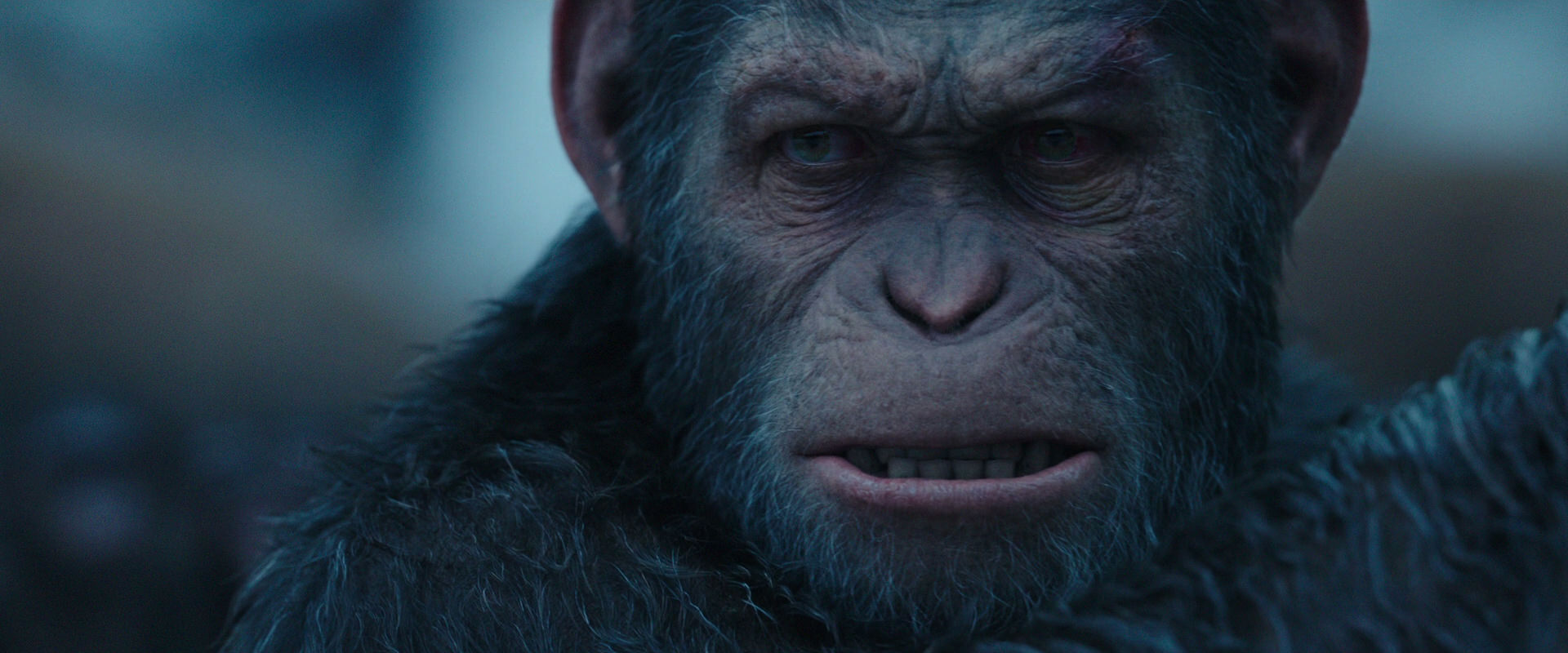 War for the Planet of the Apes (2017) HD screenshot 8354
