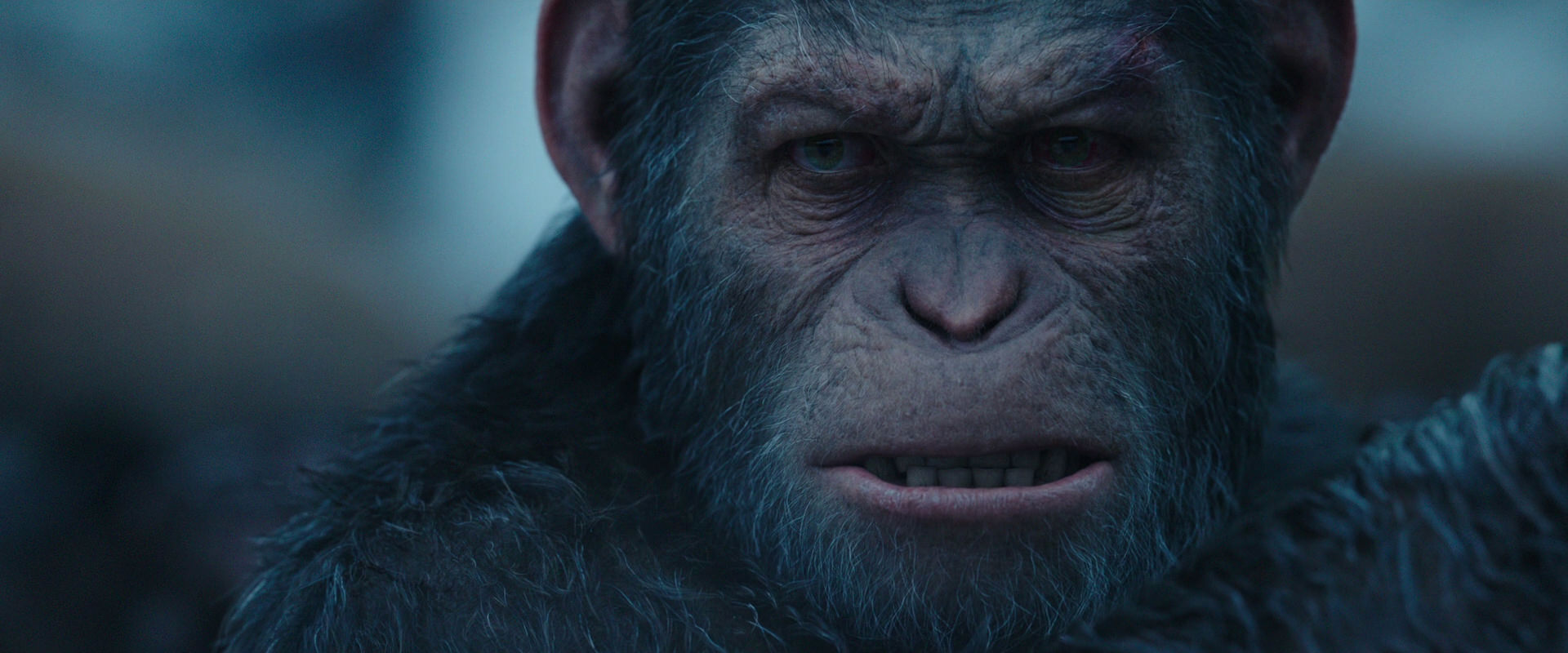 War for the Planet of the Apes (2017) screencap 8355