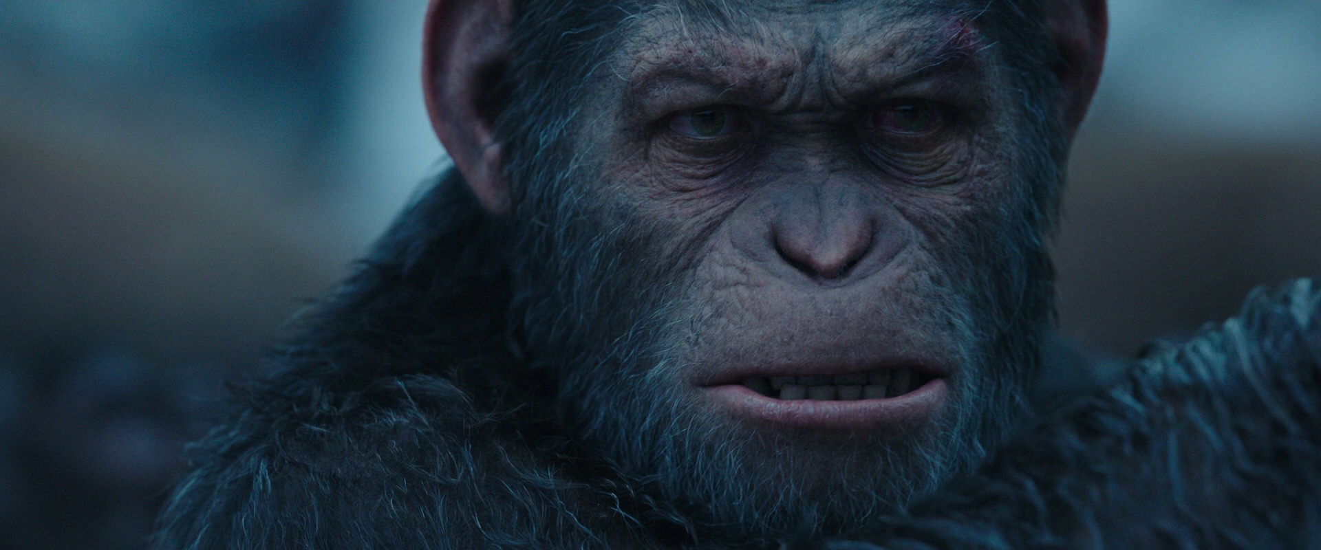 War for the Planet of the Apes (2017) movie still 8356