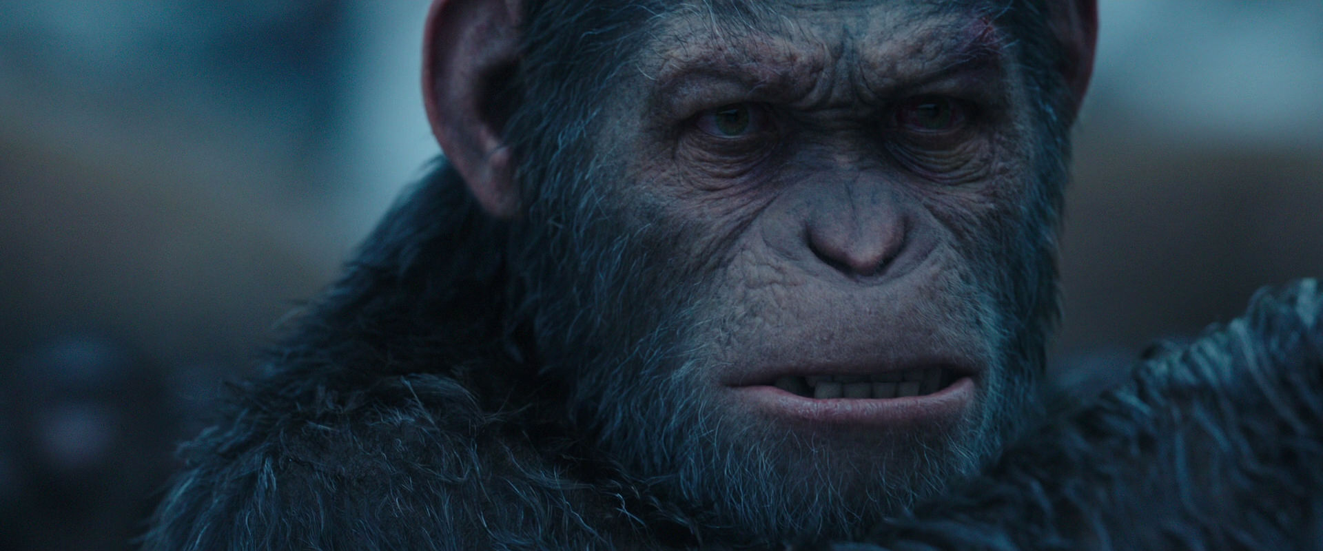 War for the Planet of the Apes (2017) HD screenshot 8357
