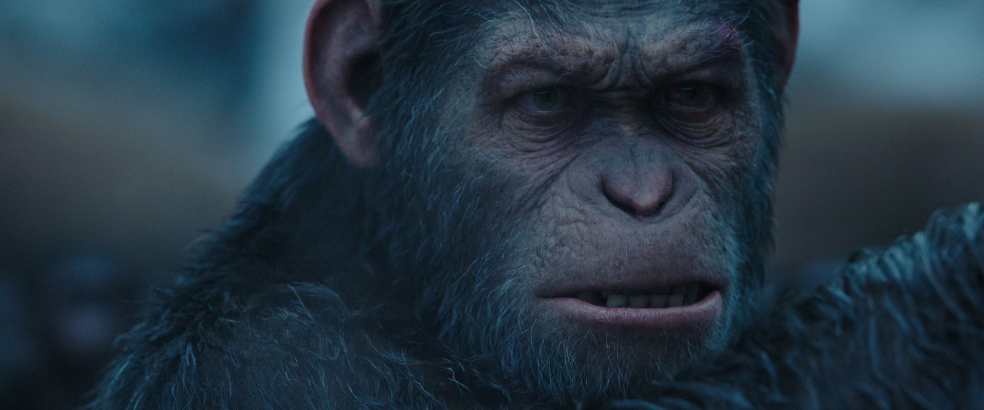 War for the Planet of the Apes (2017) screencap 8358