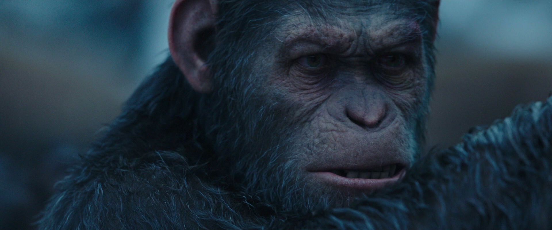 War for the Planet of the Apes (2017) movie still 8359