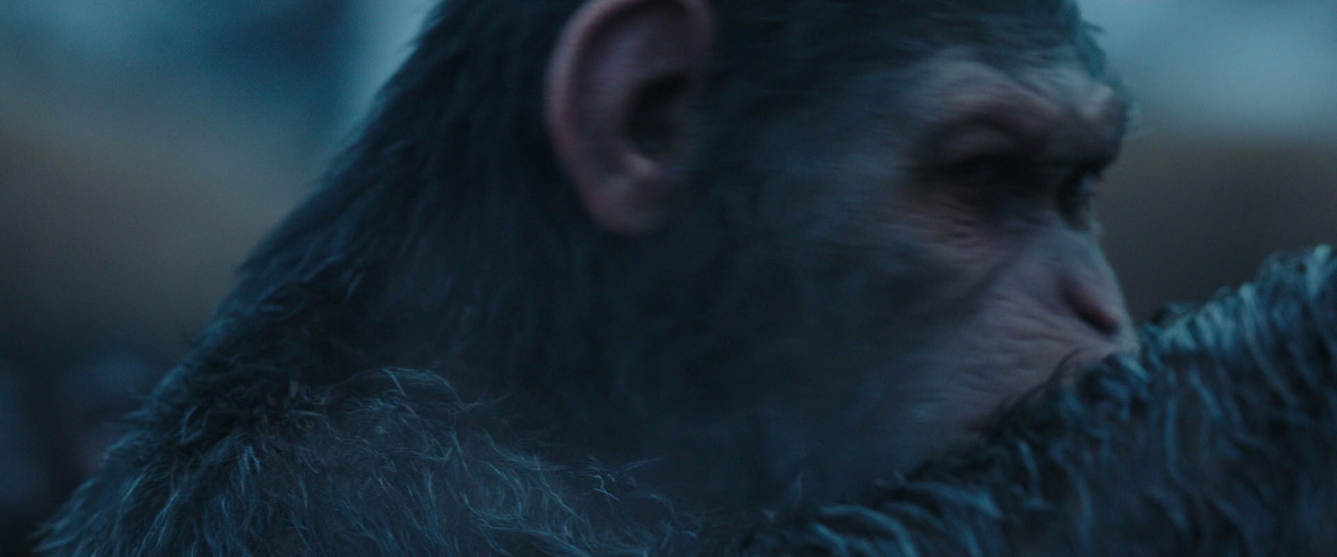 War for the Planet of the Apes (2017) HD screenshot 8360