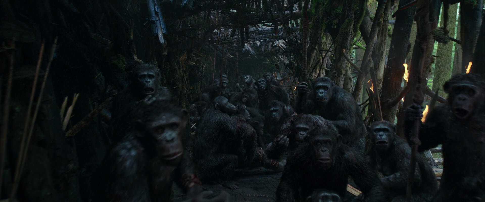 War for the Planet of the Apes (2017) screencap 837
