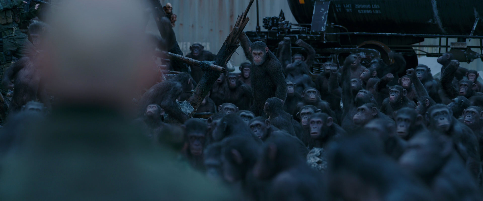 War for the Planet of the Apes (2017) movie still 8377