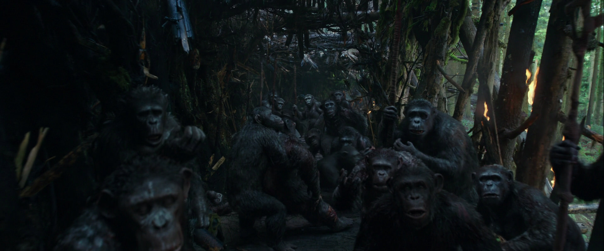 War for the Planet of the Apes (2017) movie still 838