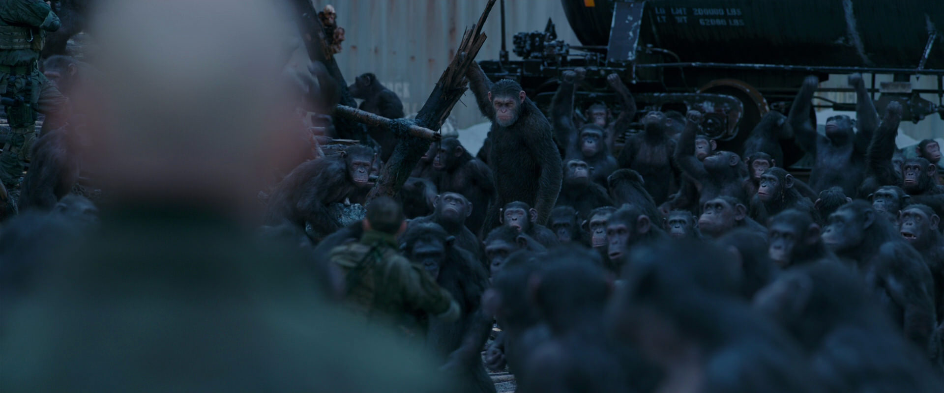 War for the Planet of the Apes (2017) movie still 8380
