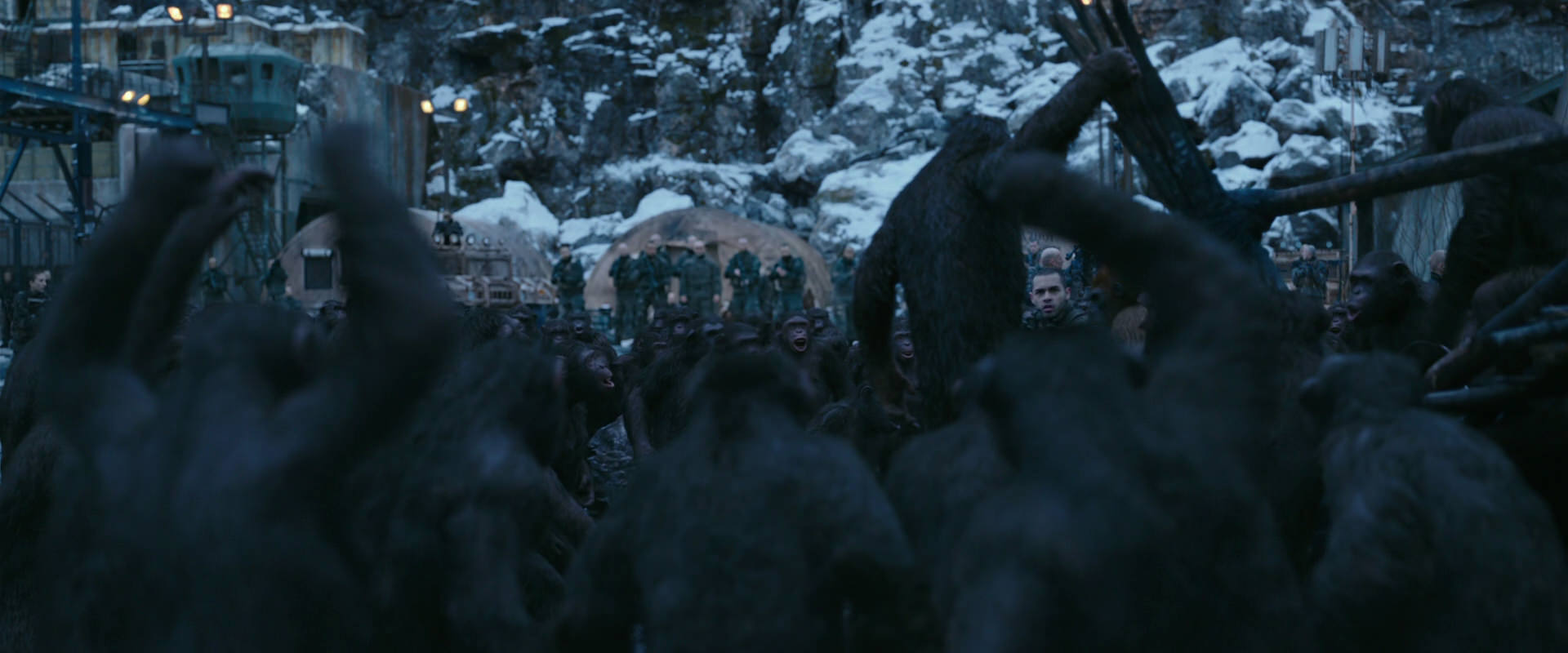 War for the Planet of the Apes (2017) movie still 8386
