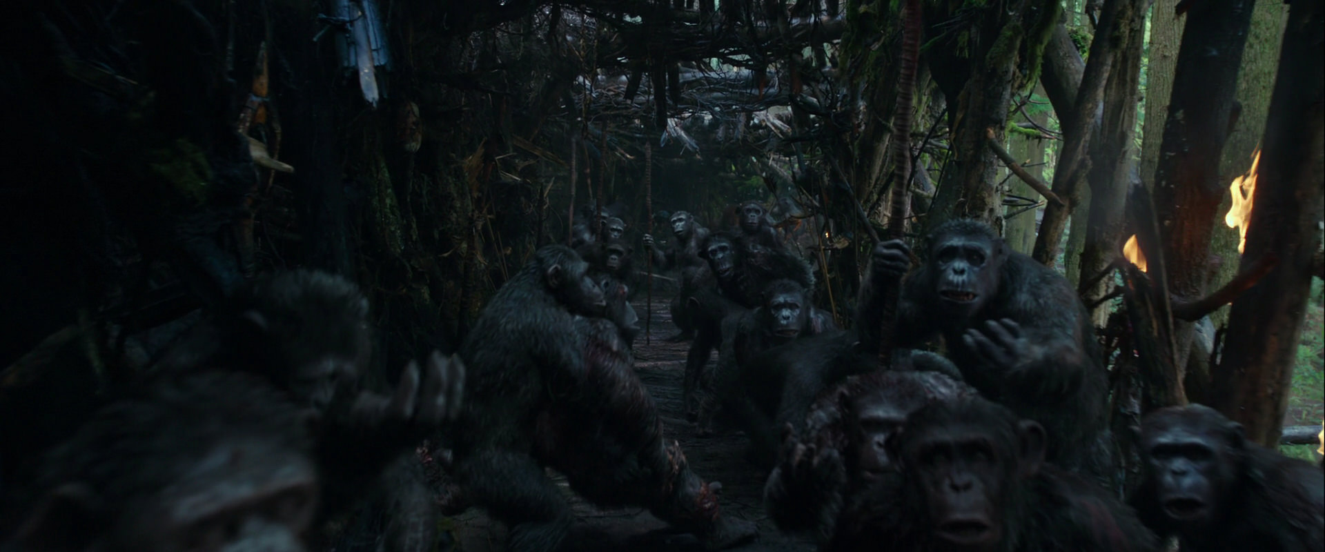 War for the Planet of the Apes (2017) HD screenshot 839