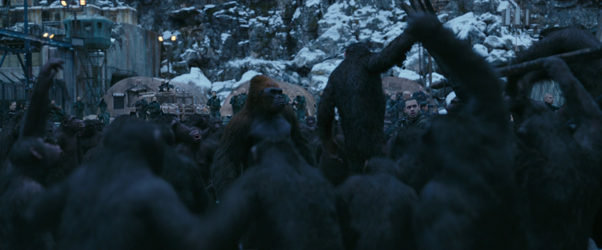War for the Planet of the Apes (2017) screencap 8394
