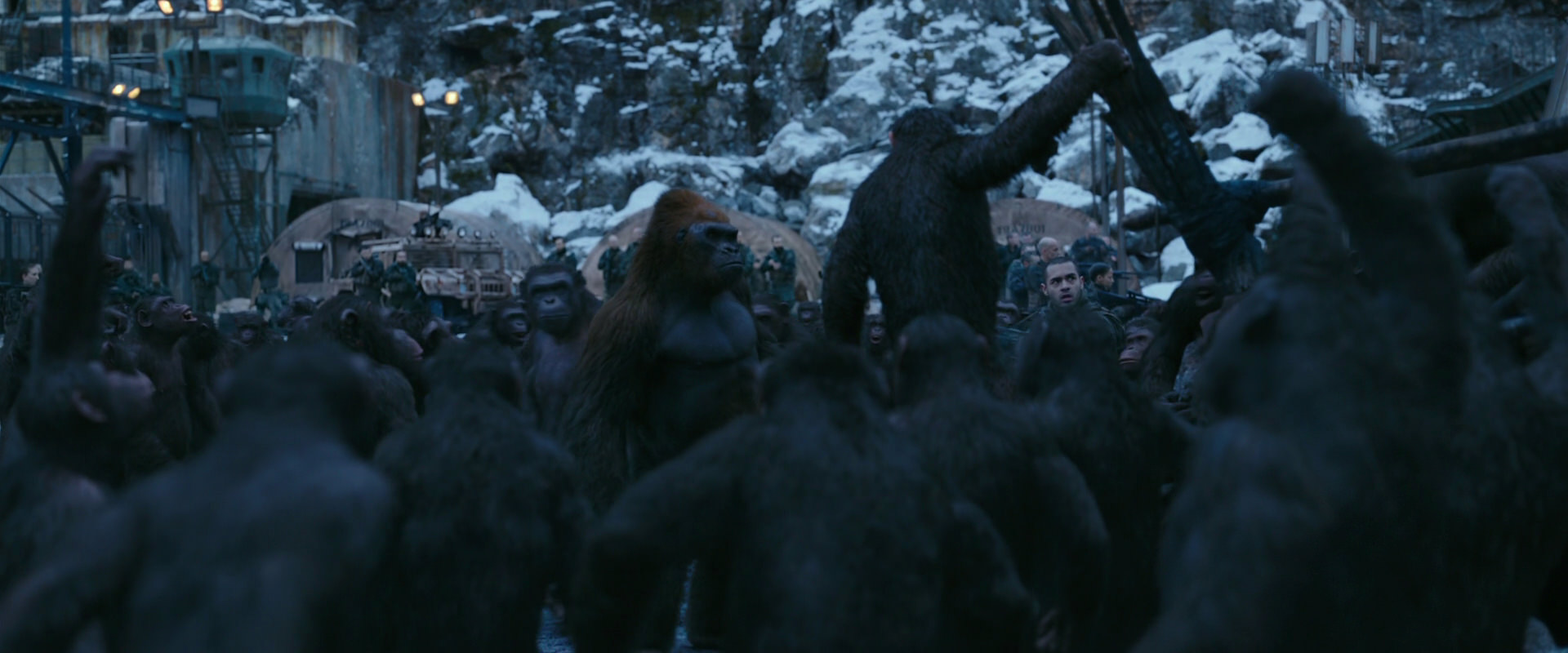 War for the Planet of the Apes (2017) movie still 8395