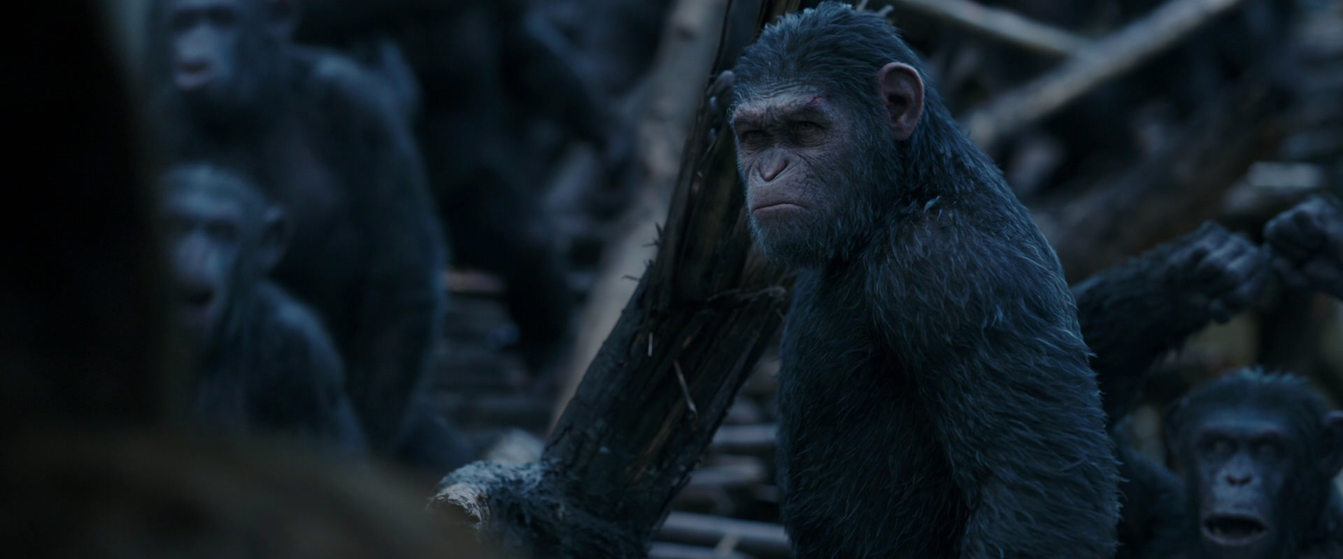 War for the Planet of the Apes (2017) HD screenshot 8396