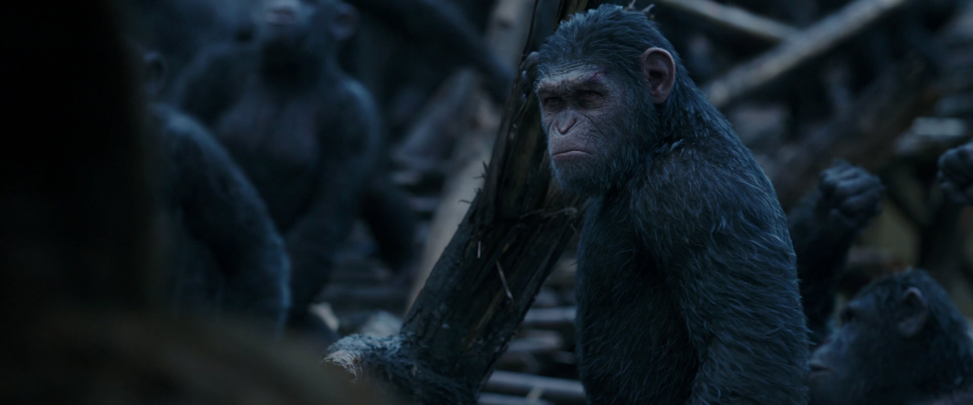 War for the Planet of the Apes (2017) screencap 8397