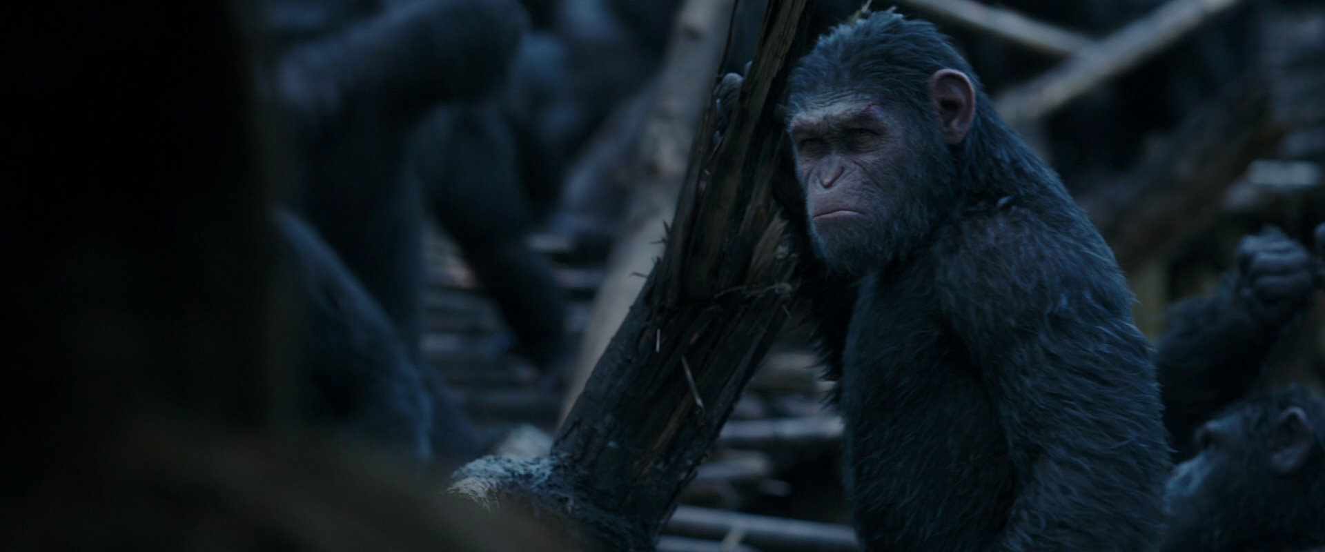 War for the Planet of the Apes (2017) movie still 8398