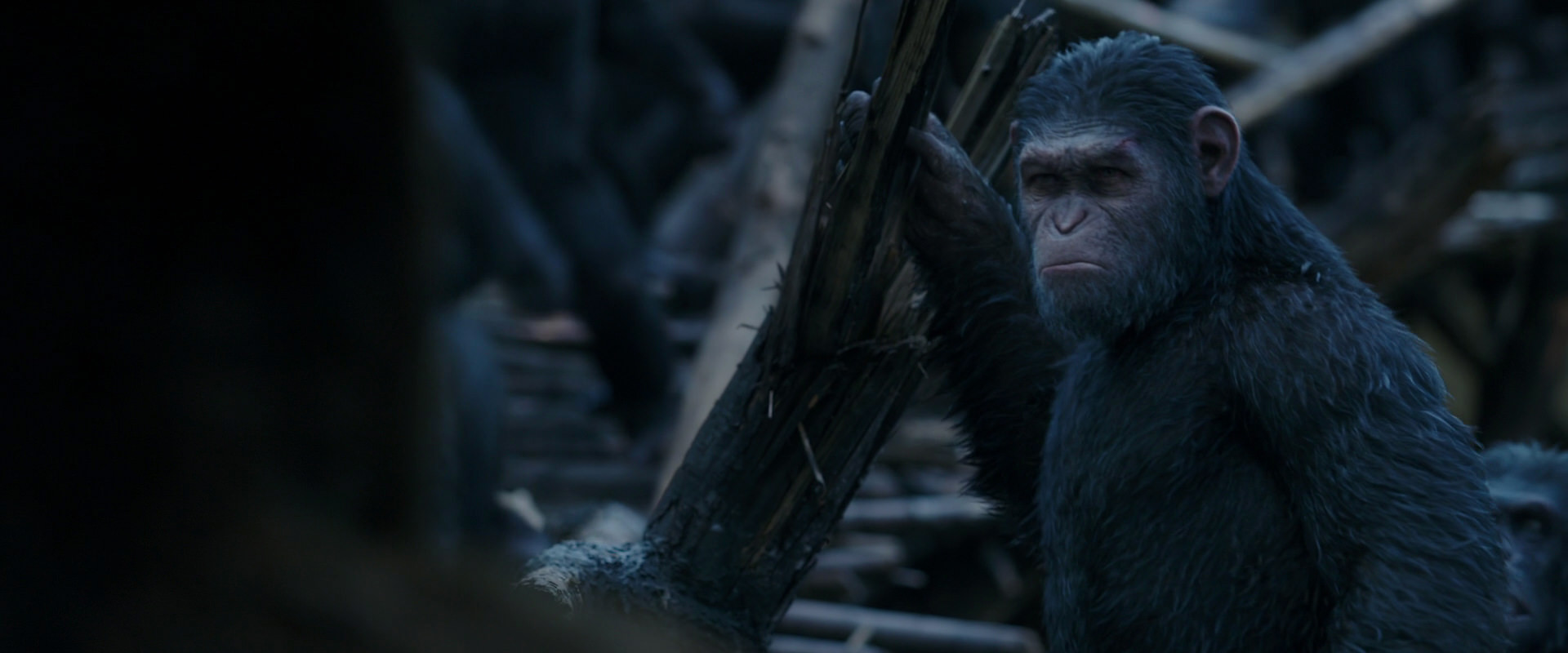 War for the Planet of the Apes (2017) HD screenshot 8399