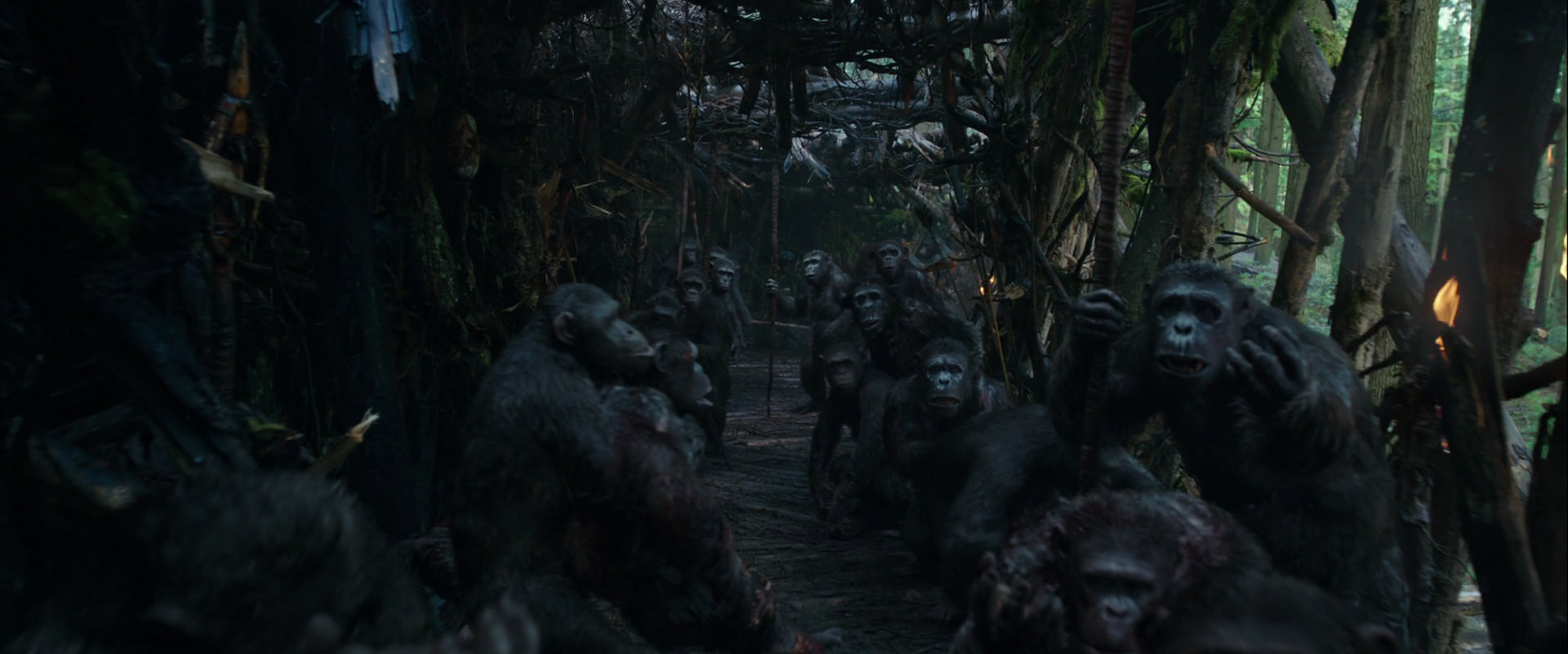 War for the Planet of the Apes (2017) screencap 840