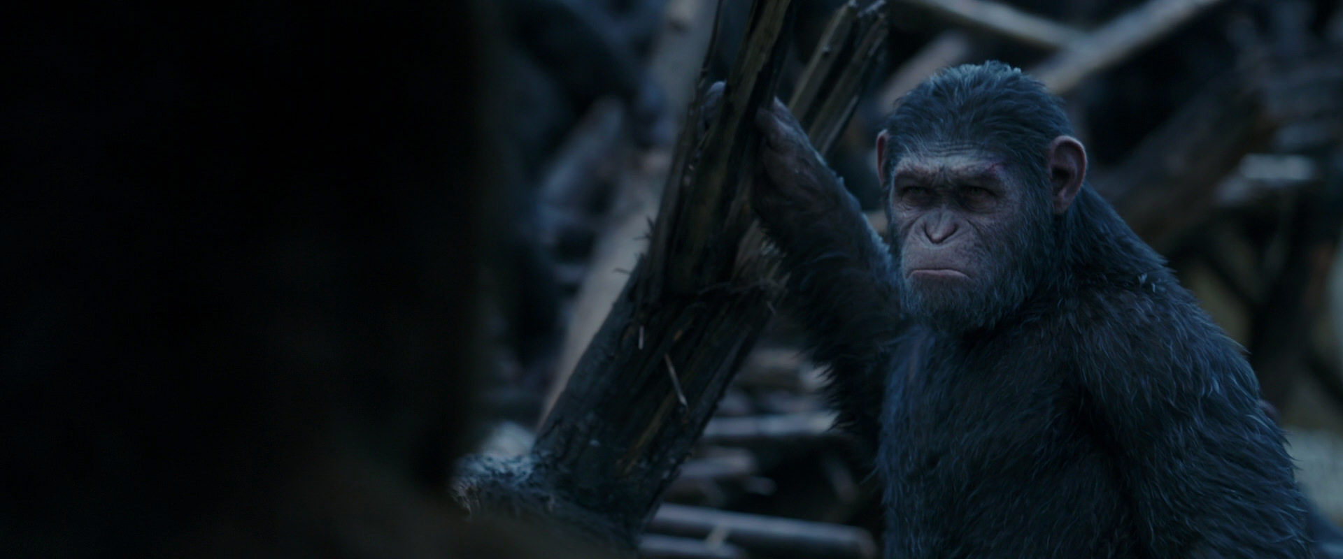 War for the Planet of the Apes (2017) screencap 8400