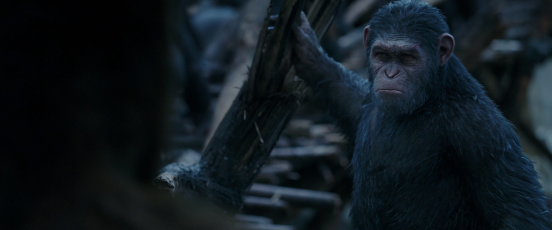 War for the Planet of the Apes (2017) movie still 8401