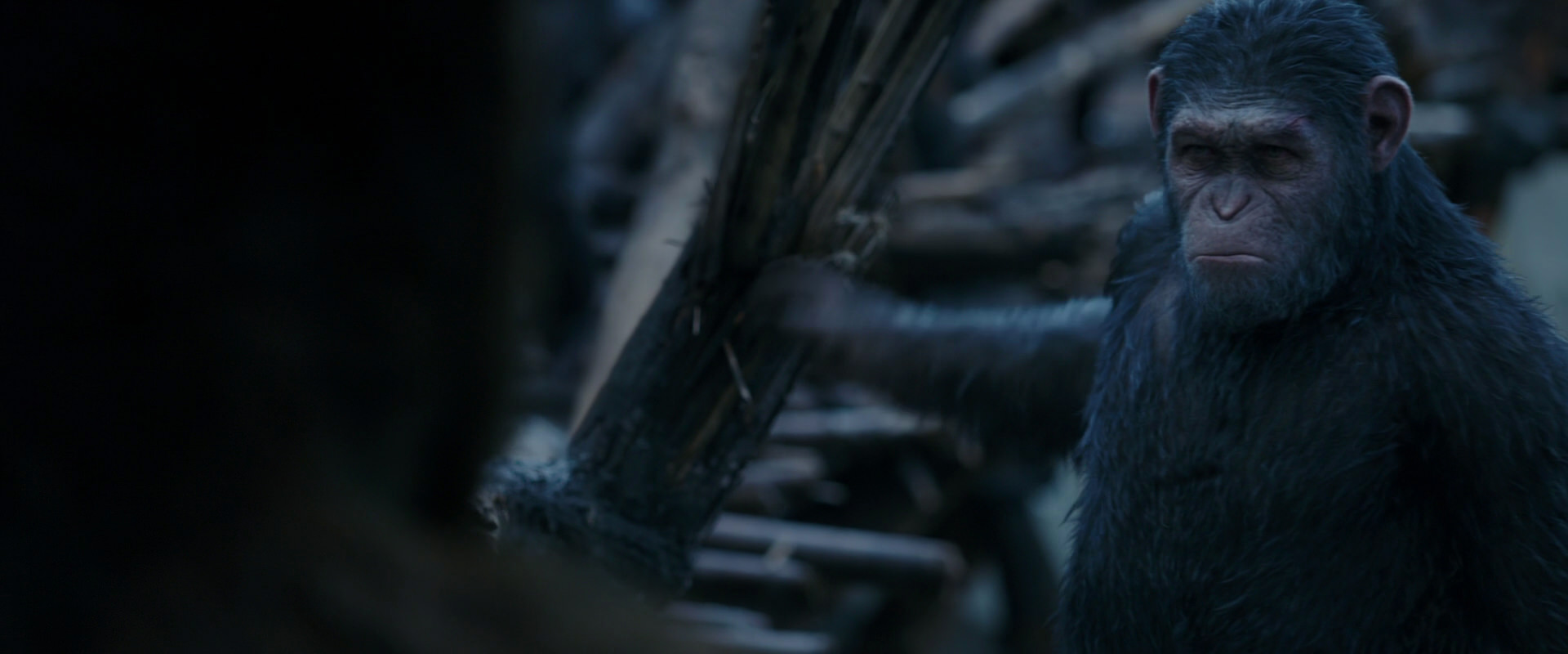 War for the Planet of the Apes (2017) HD screenshot 8402