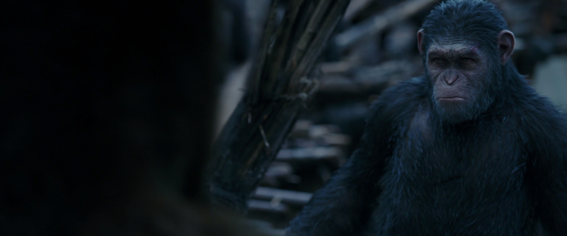 War for the Planet of the Apes (2017) screencap 8403