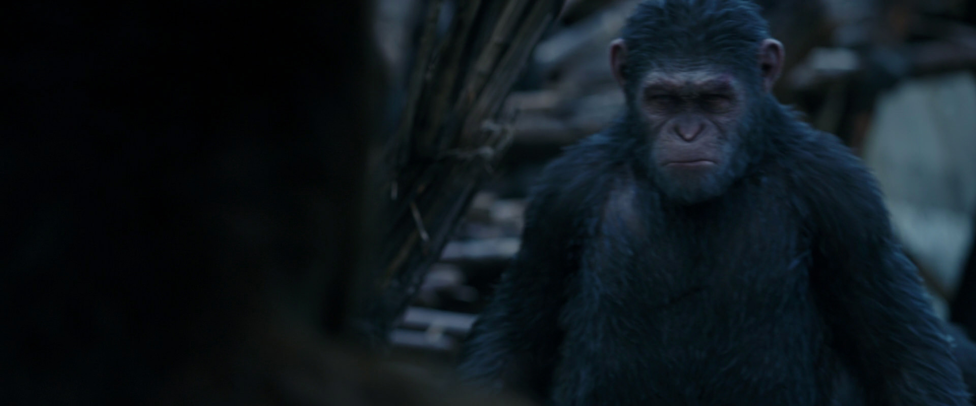 War for the Planet of the Apes (2017) movie still 8404