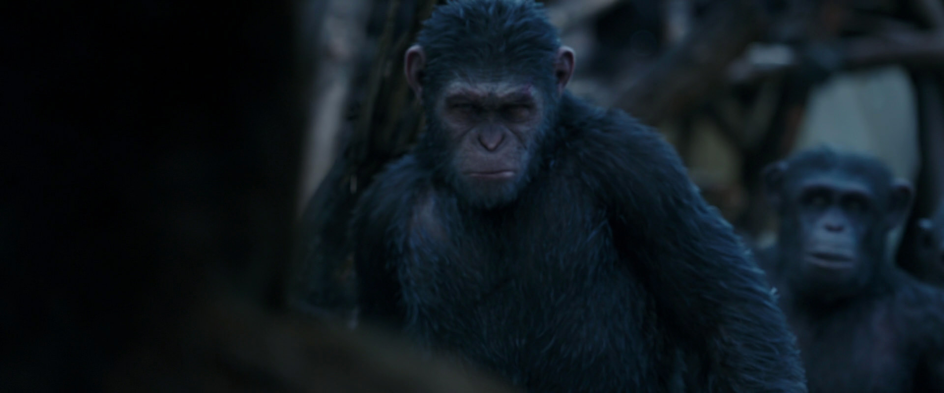 War for the Planet of the Apes (2017) screencap 8406