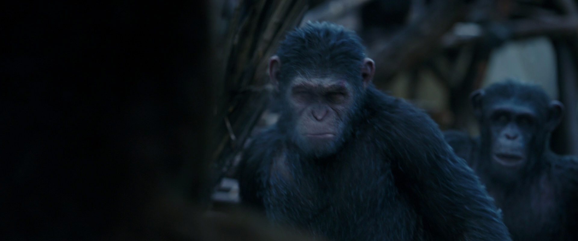 War for the Planet of the Apes (2017) movie still 8407