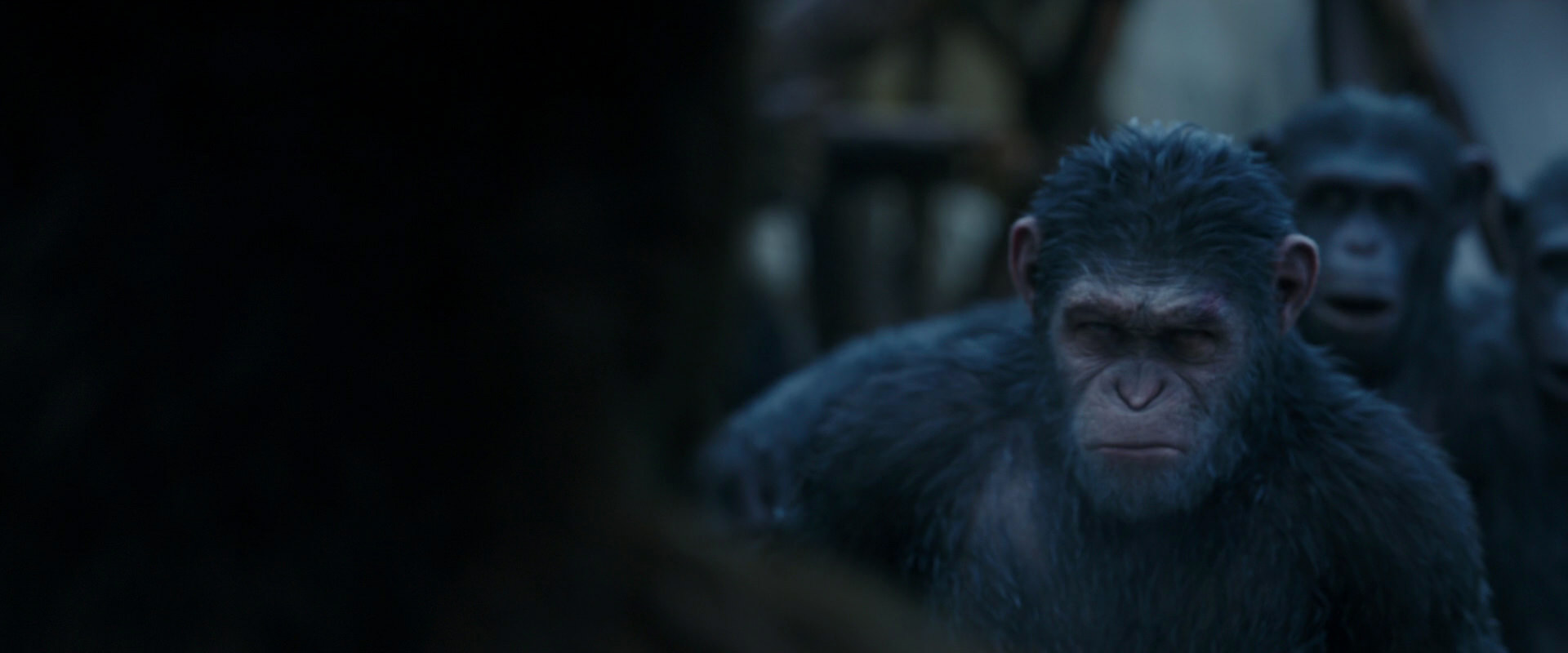 War for the Planet of the Apes (2017) screencap 8409