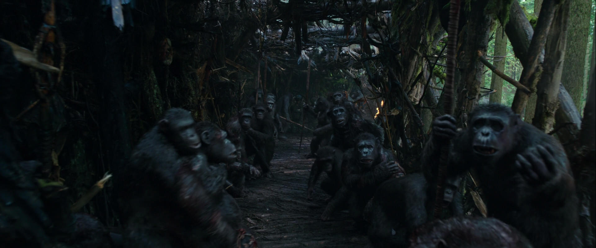 War for the Planet of the Apes (2017) movie still 841