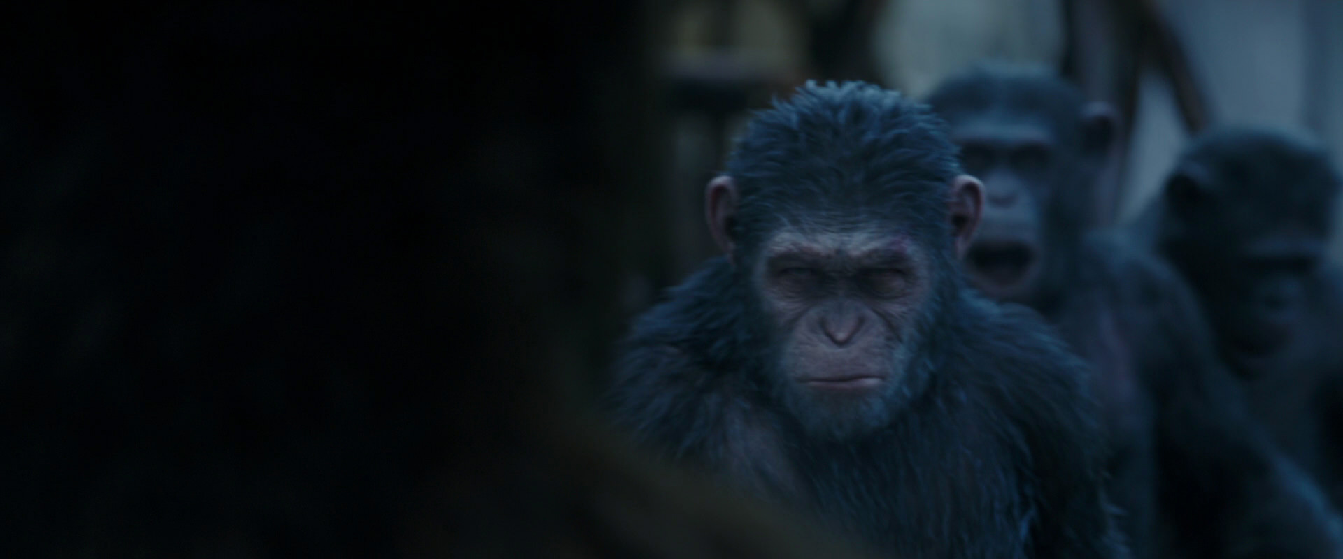 War for the Planet of the Apes (2017) movie still 8410