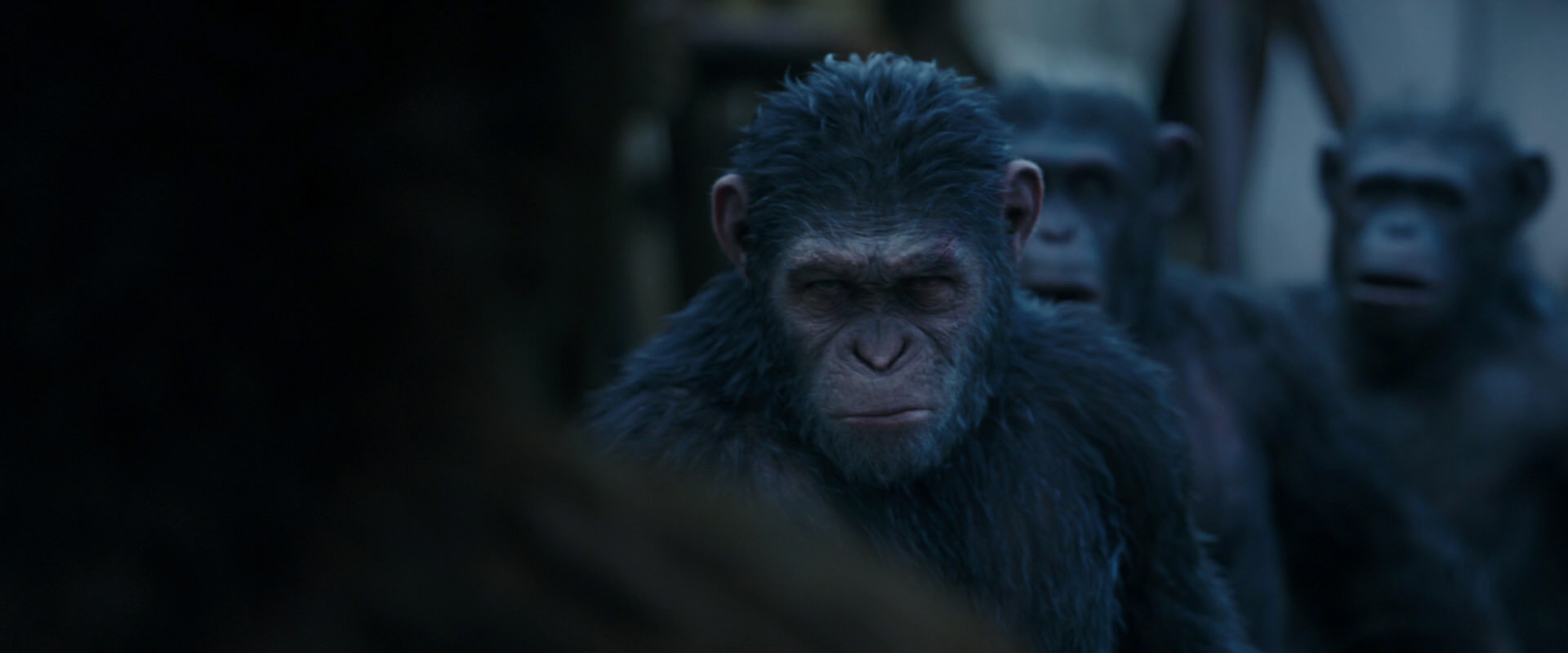 War for the Planet of the Apes (2017) HD screenshot 8411