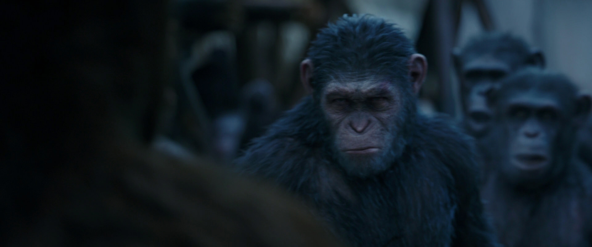 War for the Planet of the Apes (2017) screencap 8412