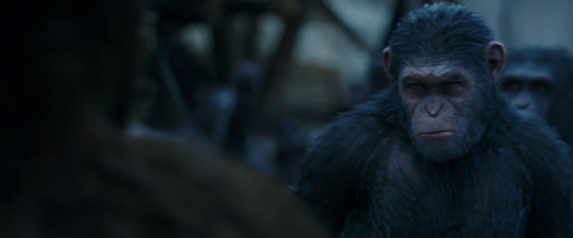 War for the Planet of the Apes (2017) movie still 8413