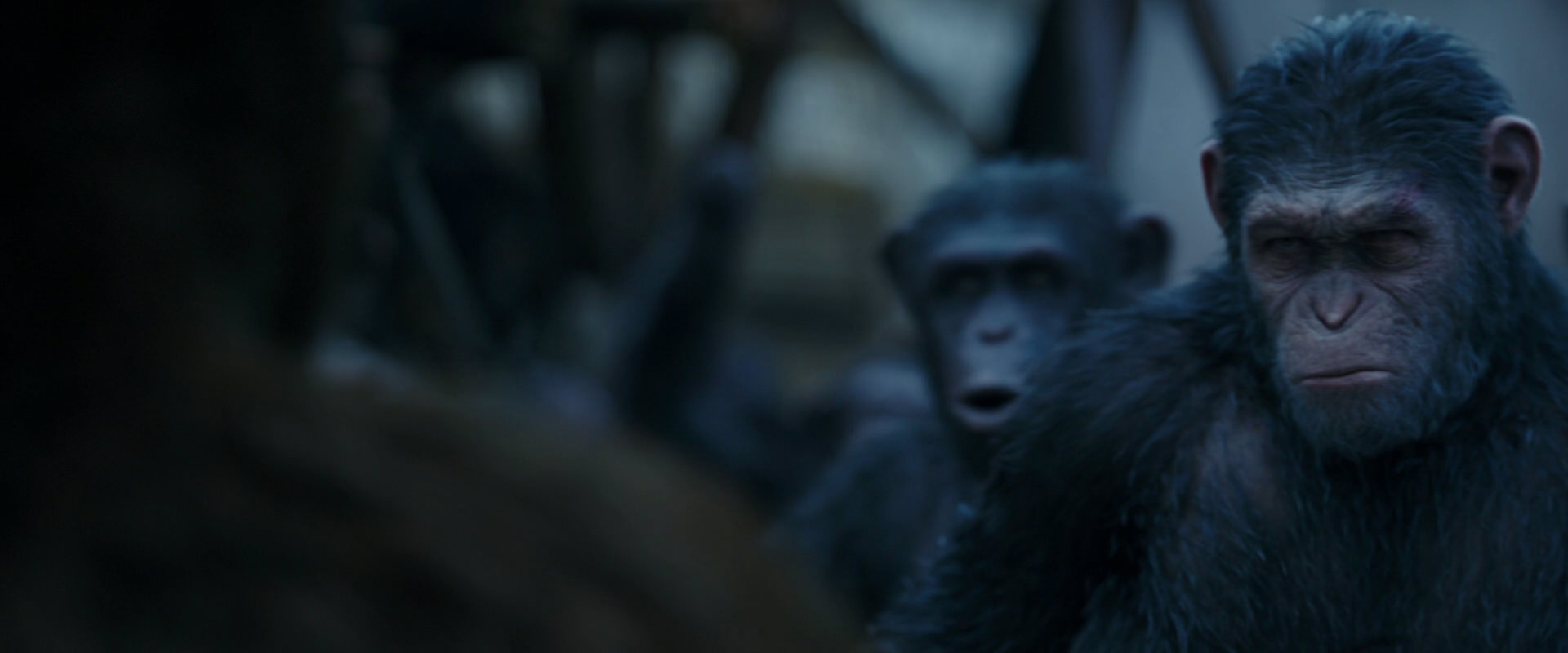 War for the Planet of the Apes (2017) HD screenshot 8414