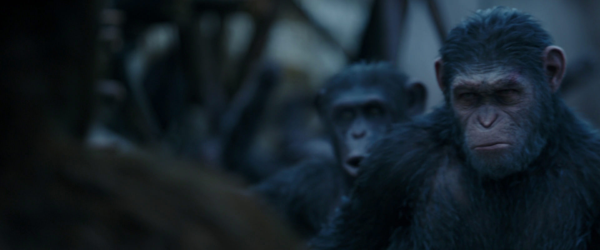 War for the Planet of the Apes (2017) screencap 8415