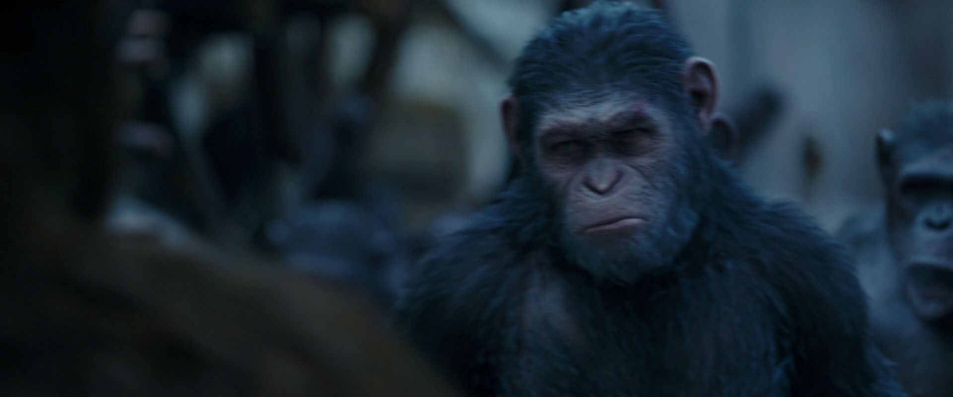 War for the Planet of the Apes (2017) movie still 8416
