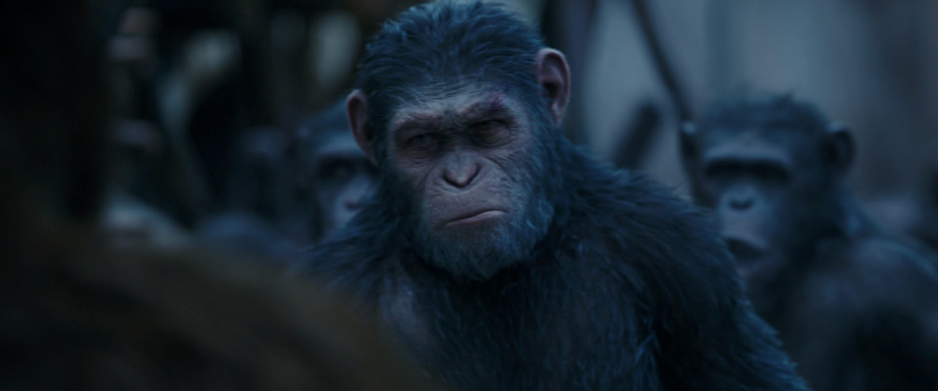 War for the Planet of the Apes (2017) HD screenshot 8417