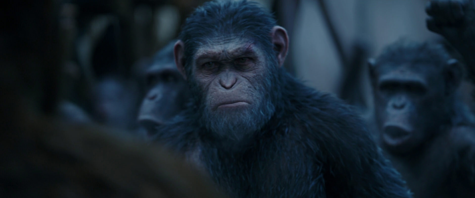 War for the Planet of the Apes (2017) screencap 8418