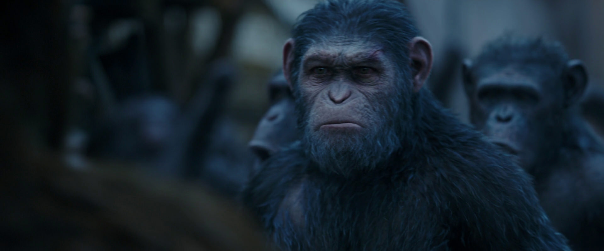 War for the Planet of the Apes (2017) movie still 8419