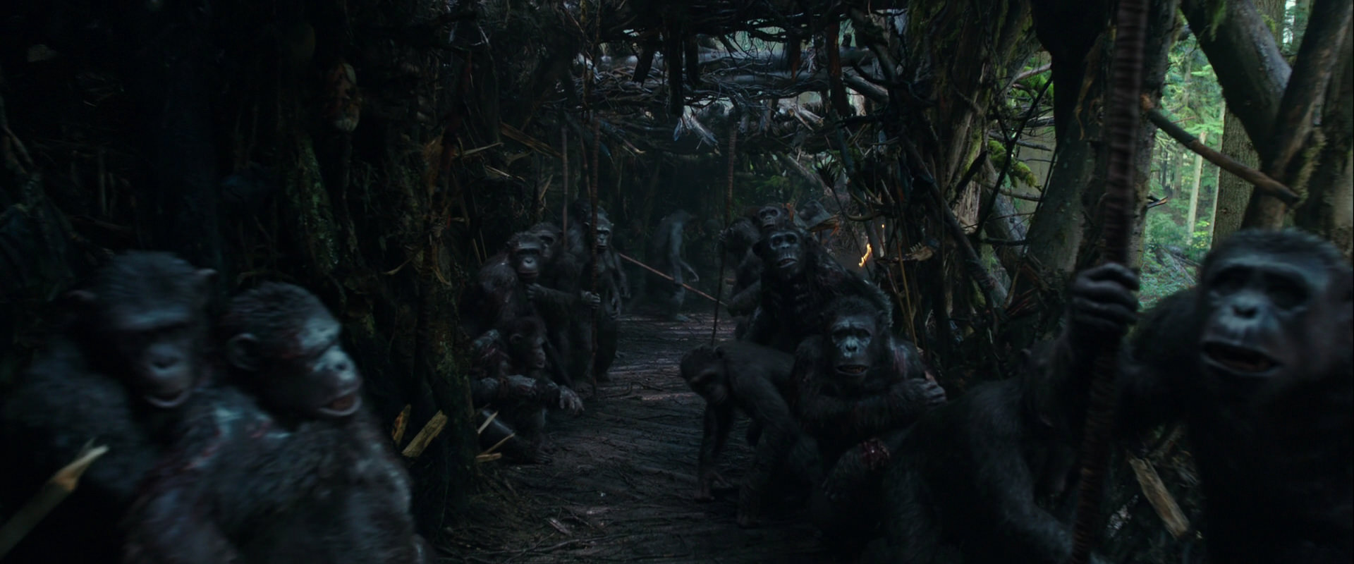 War for the Planet of the Apes (2017) HD screenshot 842