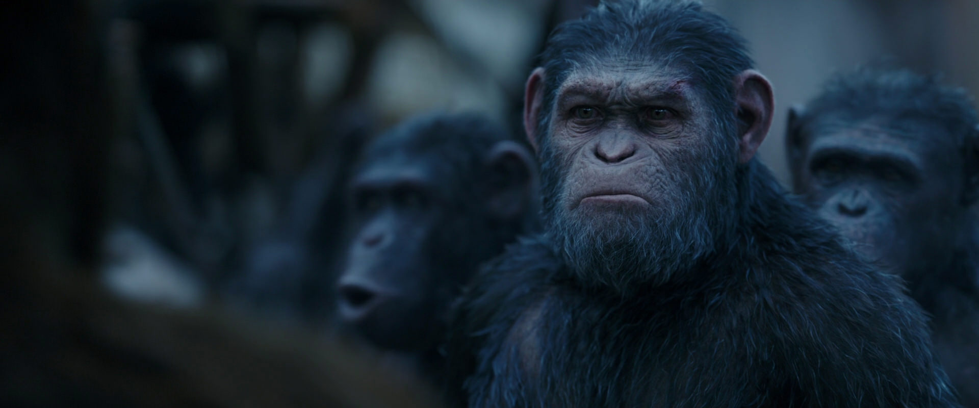 War for the Planet of the Apes (2017) screencap 8421