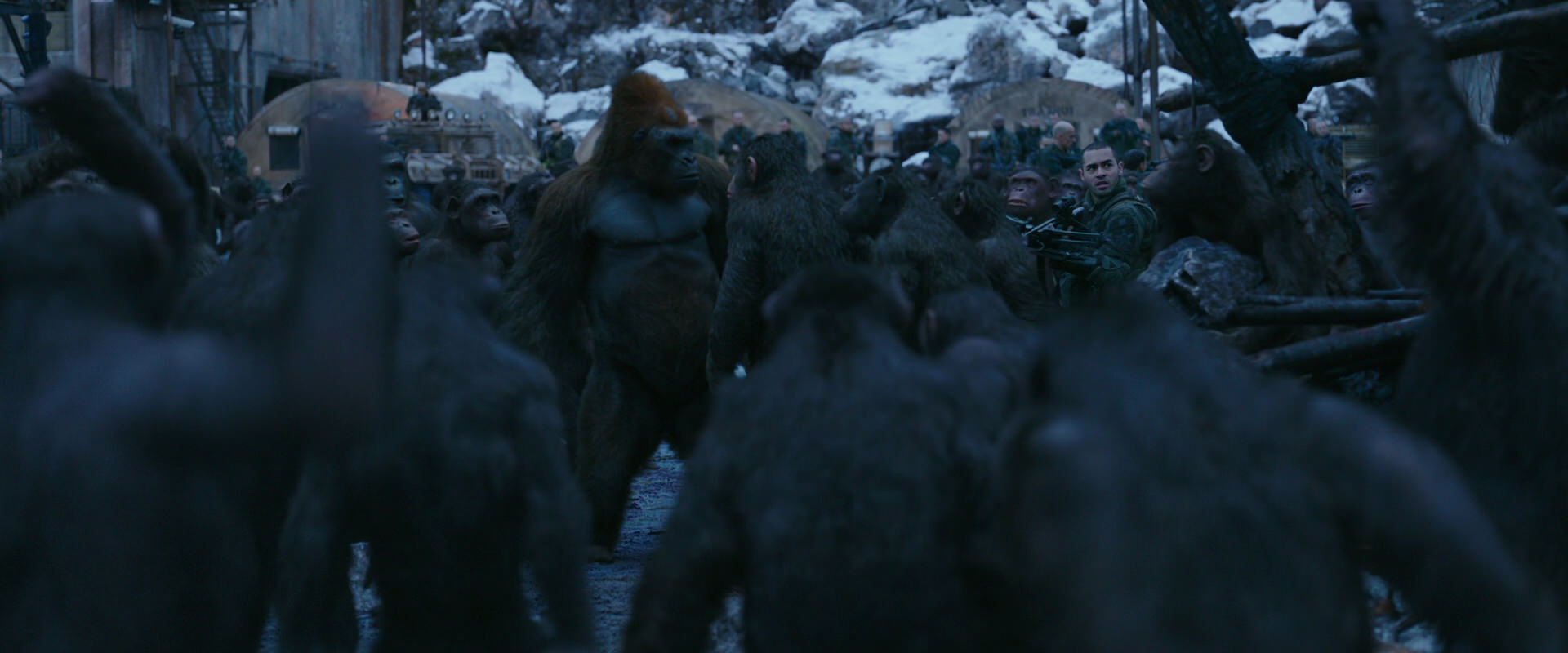 War for the Planet of the Apes (2017) movie still 8422