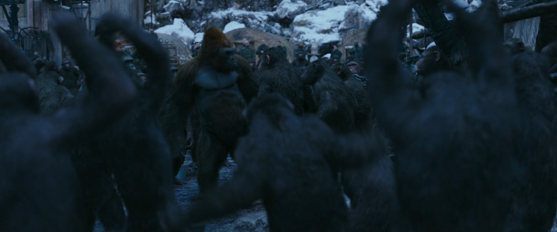 War for the Planet of the Apes (2017) HD screenshot 8423