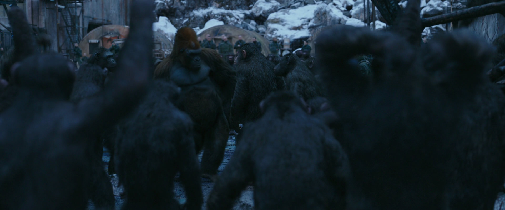 War for the Planet of the Apes (2017) screencap 8424