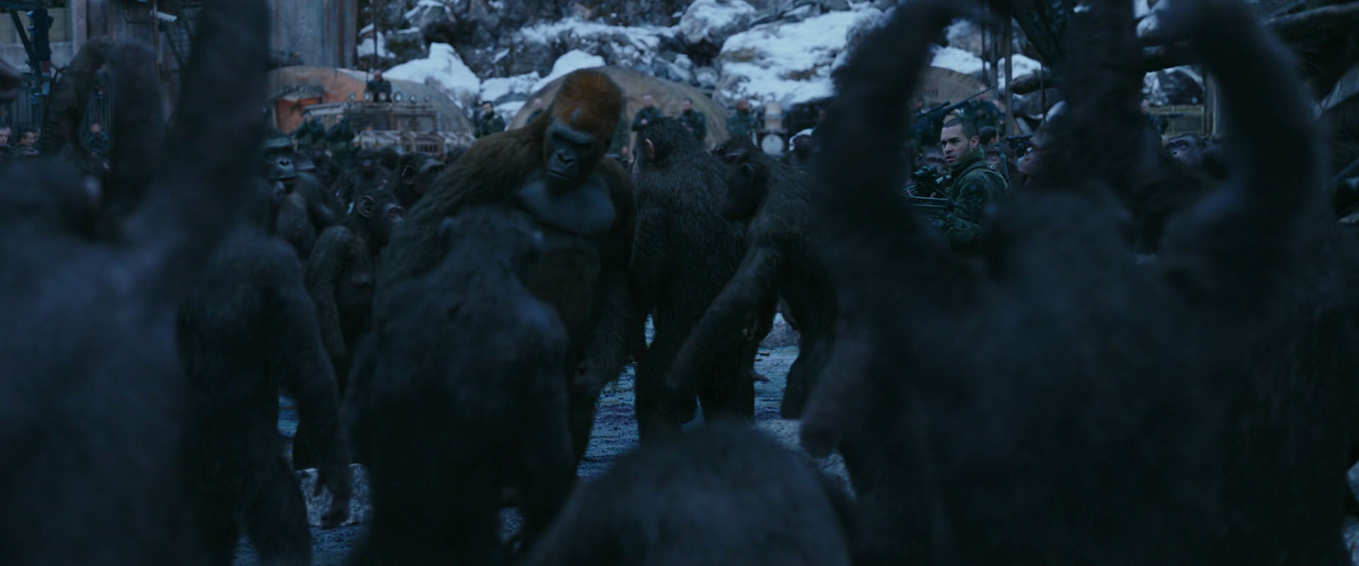 War for the Planet of the Apes (2017) movie still 8425